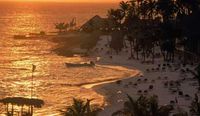 Beach of the Hotel VIVA WYNDHAM DOMINICUS PALACE - Bayahibe - Dominican Republic